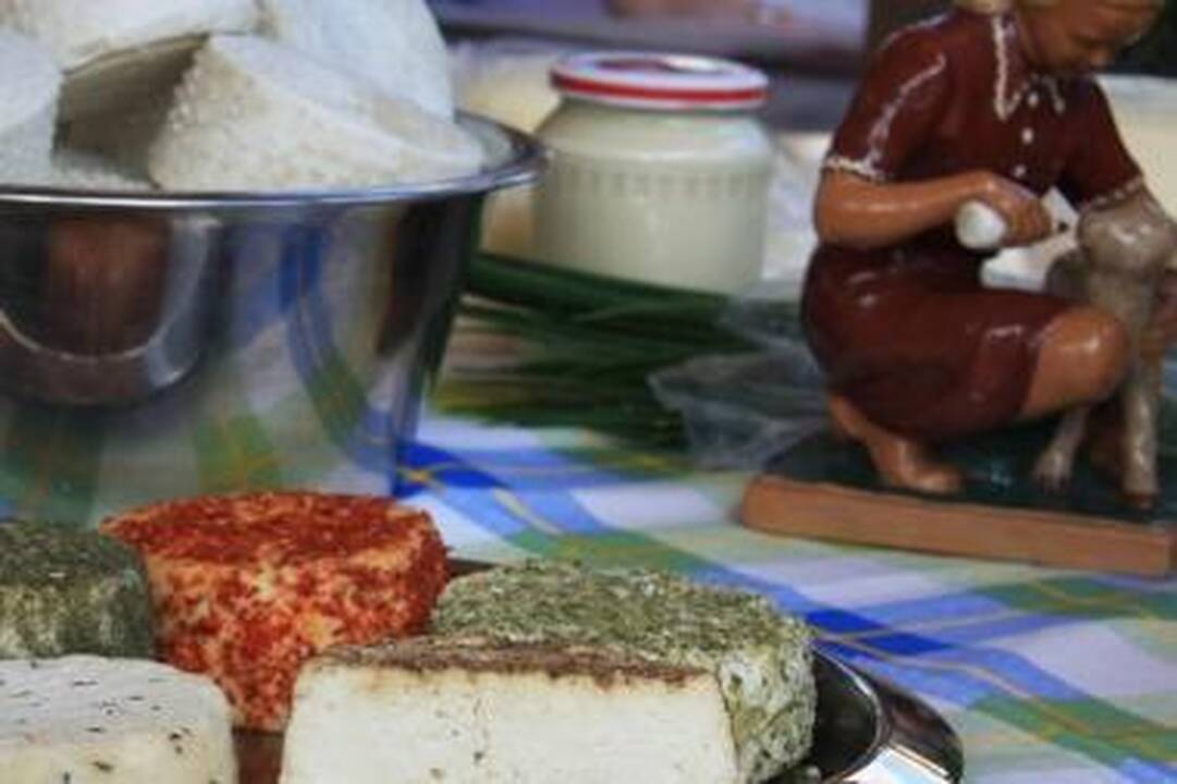 Užupio ekologiškų kultūrų turguje - literatūrinis pusvalandis