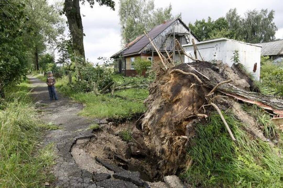 Šiandien elektros tiekimą RST planuoja atnaujinti daugumai vartotojų 
