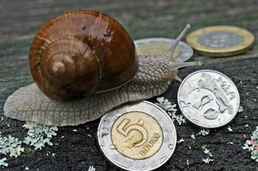 Nubausti du paskolas teikiantys bankai (papildyta)