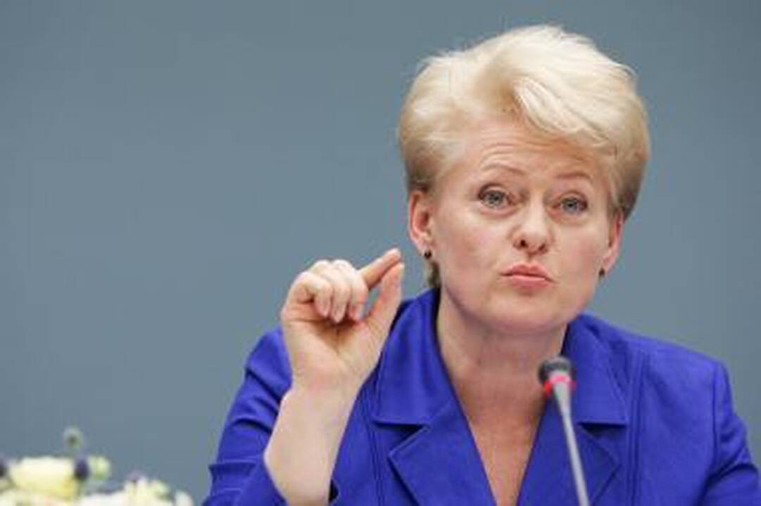 Prezidentė nori spartesnio Kauno įvykių tyrimo