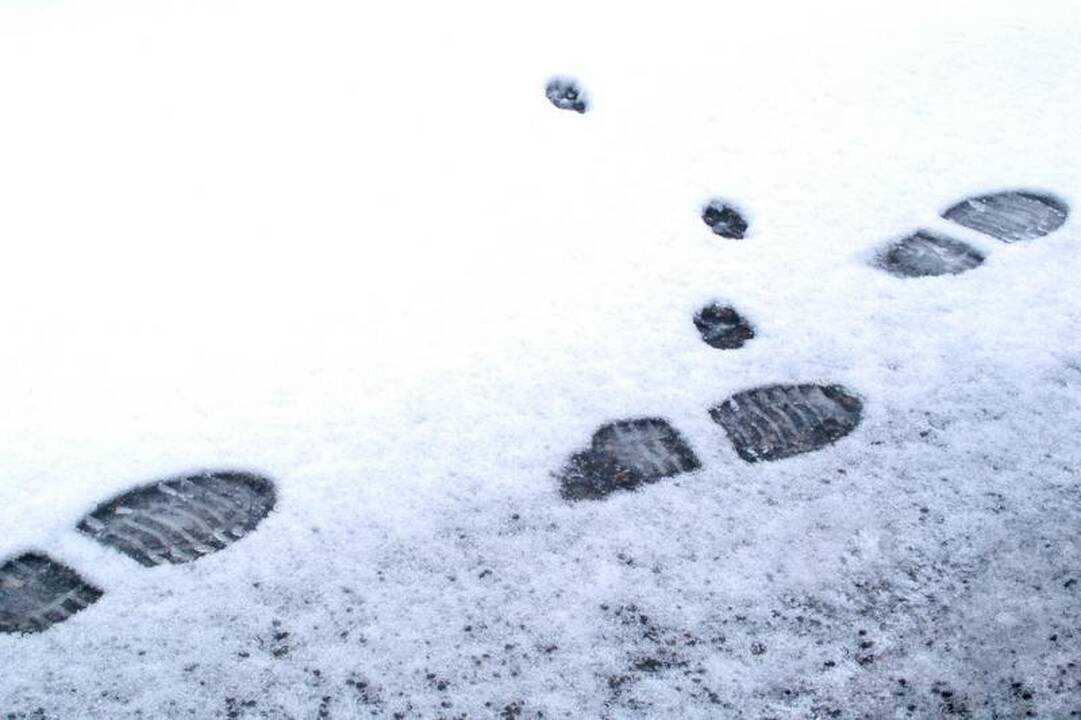 Vilkaviškyje mirtinai sušalo griovyje gulėjęs vyras