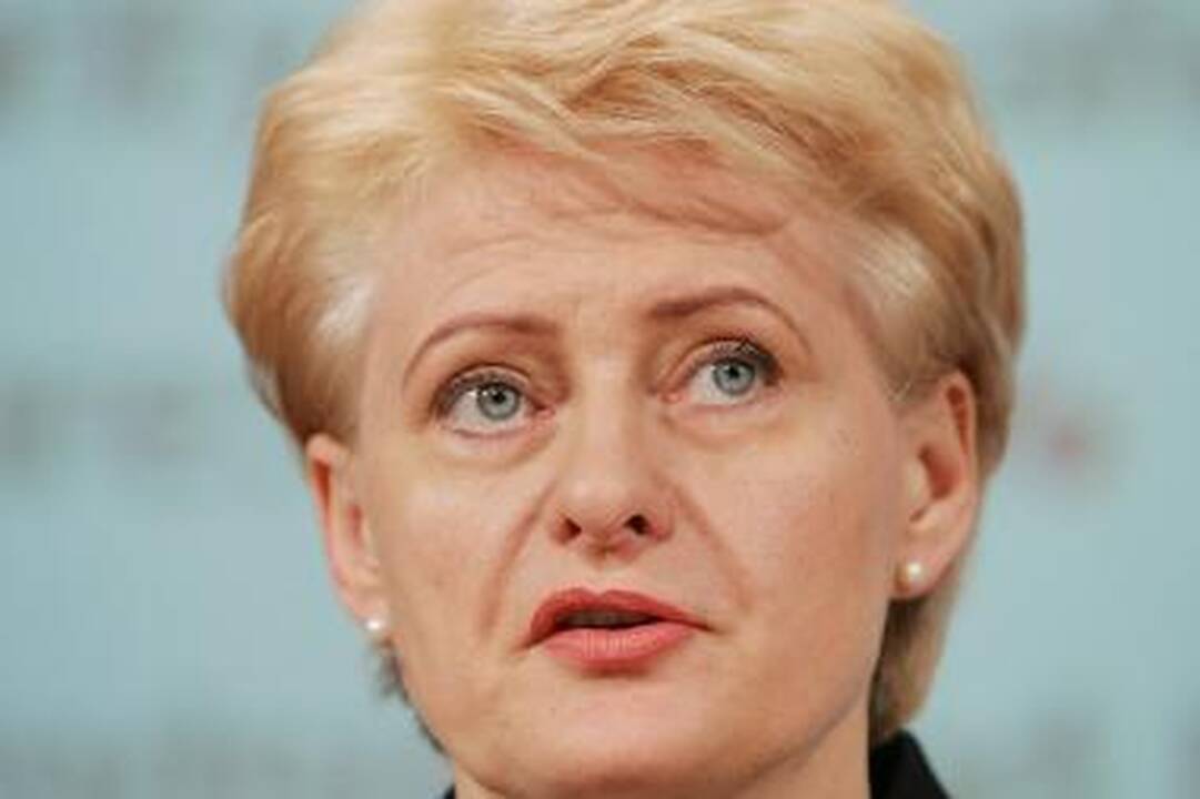Prezidentė ir Vyriausybė taisys gėjus papiktinusį įstatymą