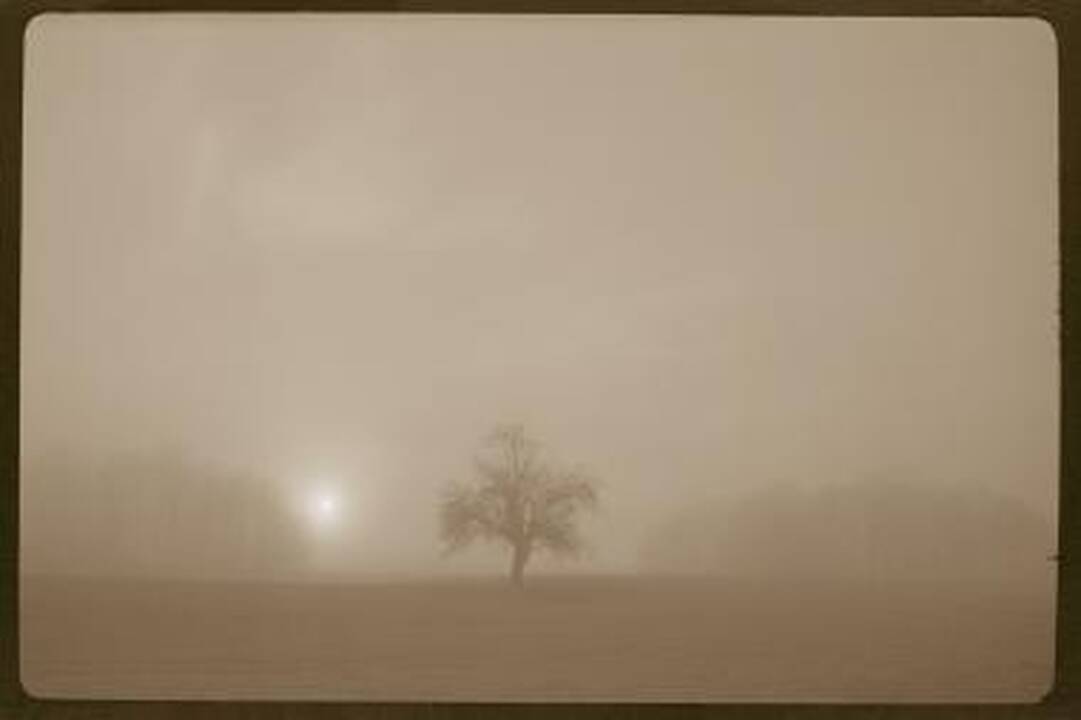 Fotografijos galerijoje – A.Šeštoko „Šviesos kaligrafija“