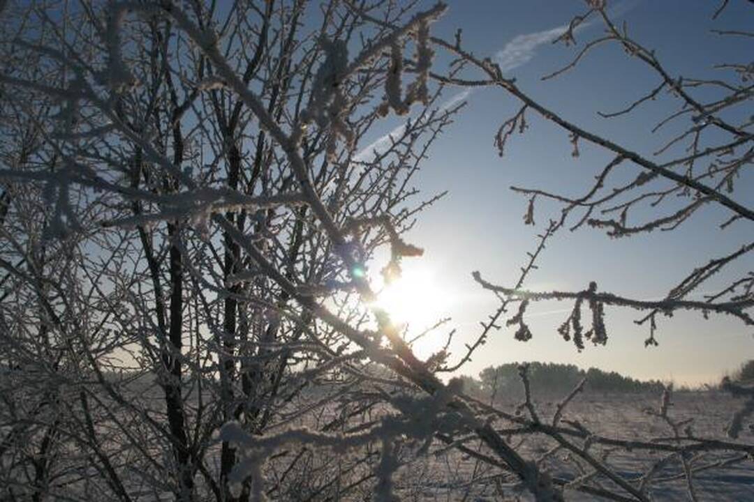 Orai Kaune: ketvirtadienį vėl prasidės pūgos