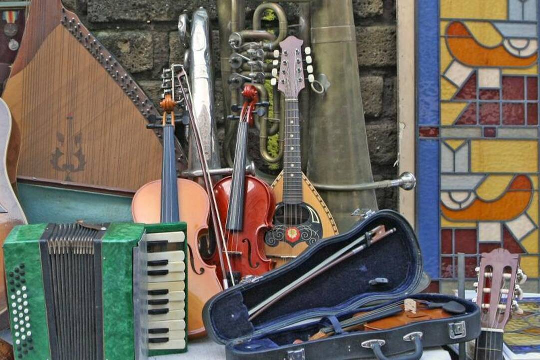 Varėnos rajone šurmuliavo Blusų festivalis 