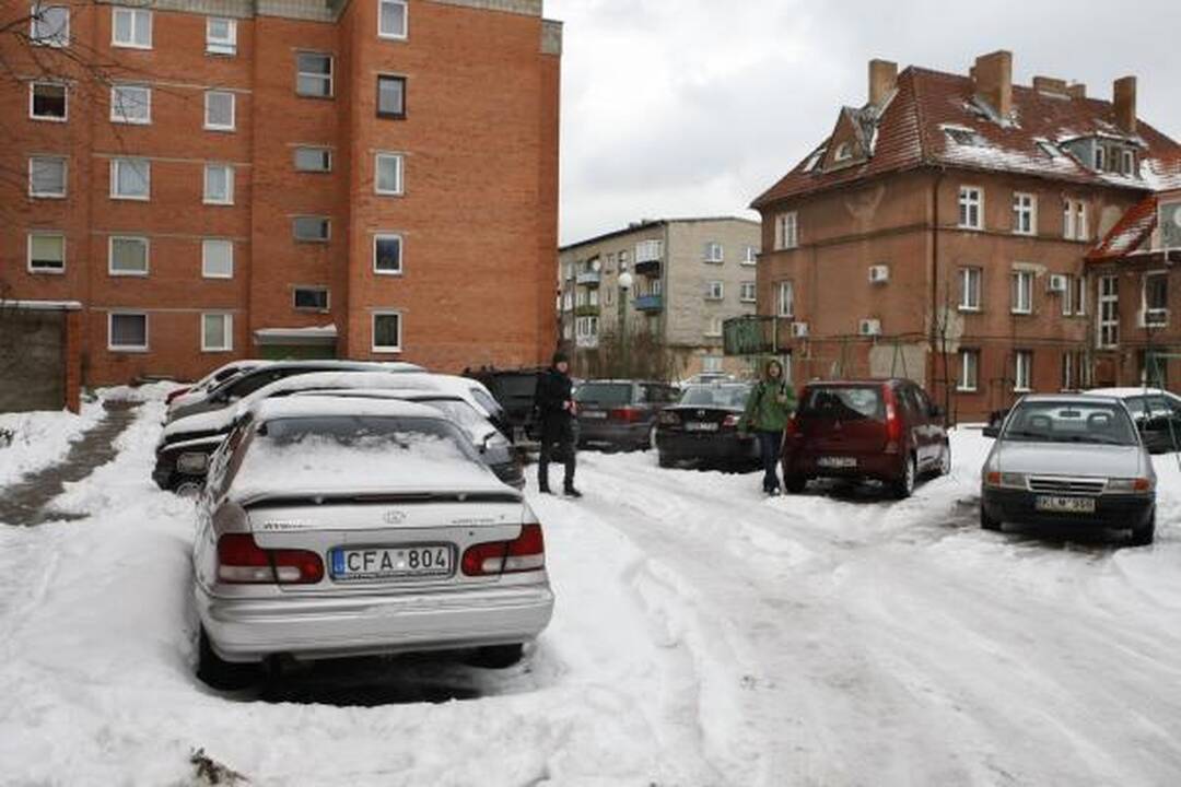 Nevalomi Vilniaus kiemai - gyventojų siaubas