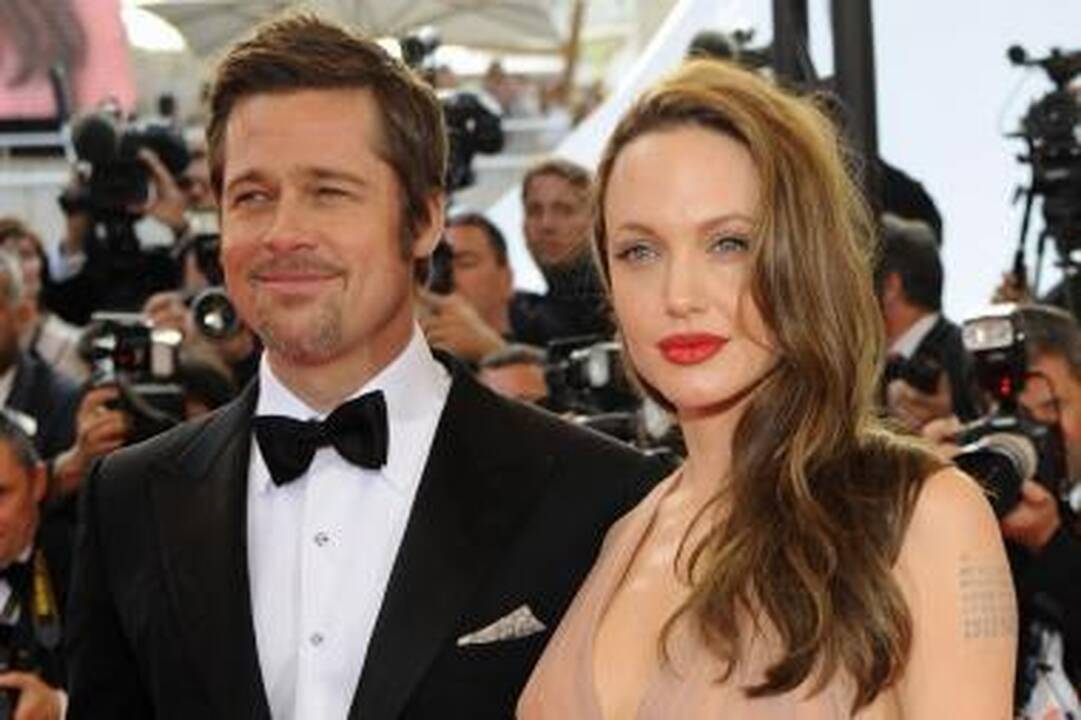 A.Jolie ir B.Pittas paaukojo 2 mln. dolerių Afrikos laukinių gyvūnų apsaugai