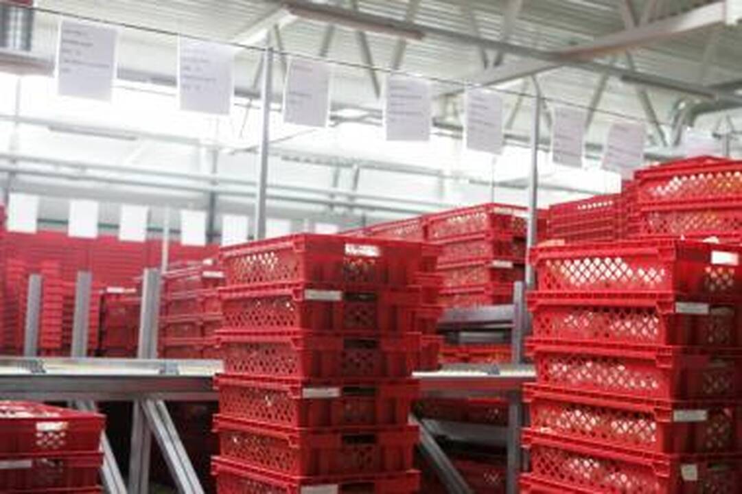 Po metų prekių iš Lietuvos išveš daugiau nei prieš krizę?