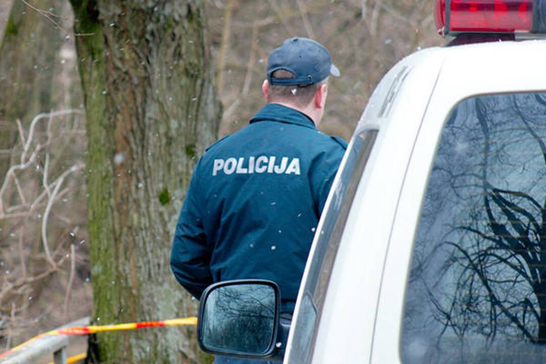 Sereikiškių parke rastas sprogmuo (papildyta)