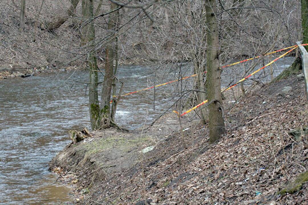 Sereikiškių parke rastas sprogmuo (papildyta)
