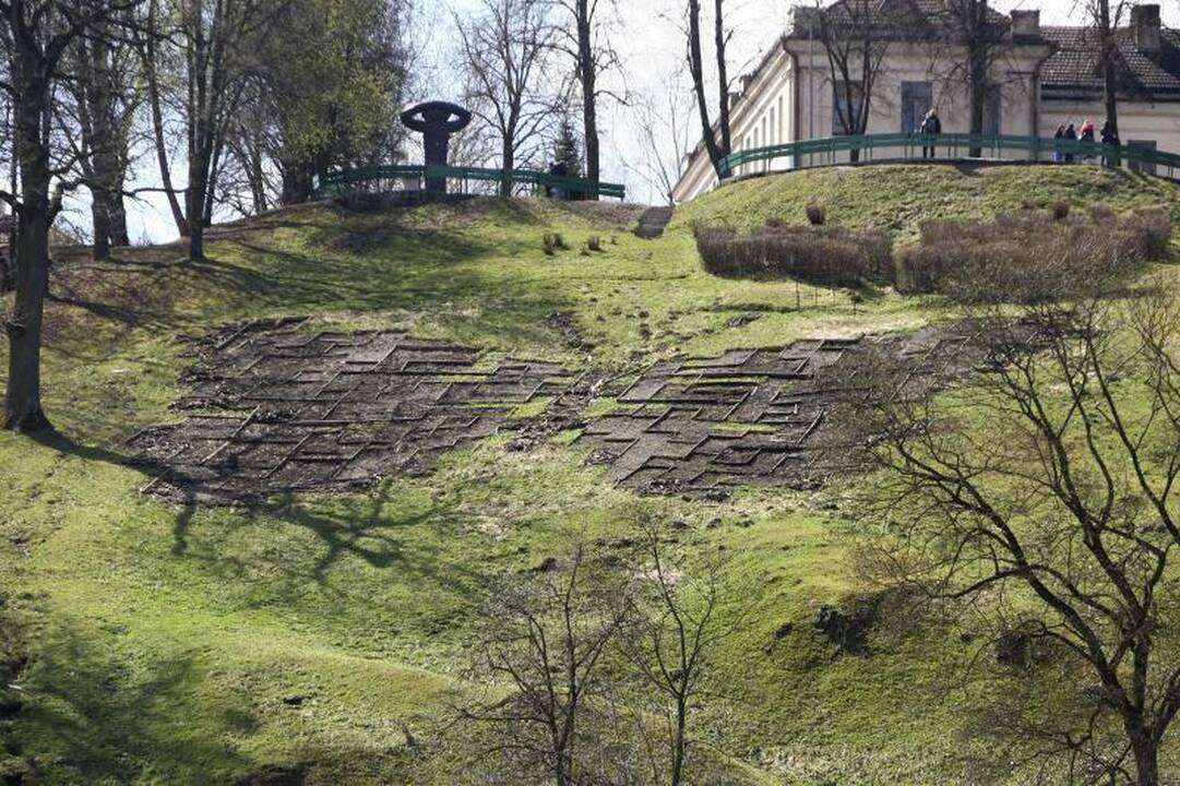 Aleksoto kalnas vėl pražys margaspalviais žiedais