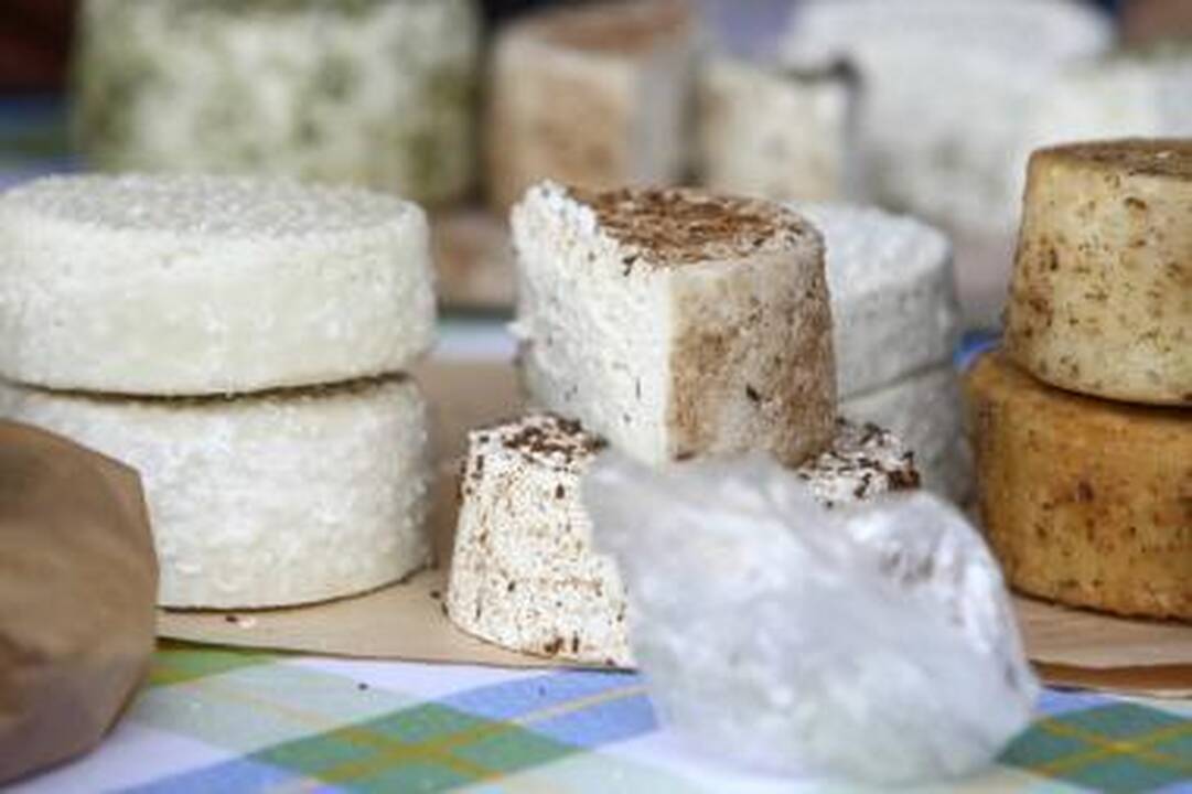 Saulė ir maistas – vitamino D šaltinis