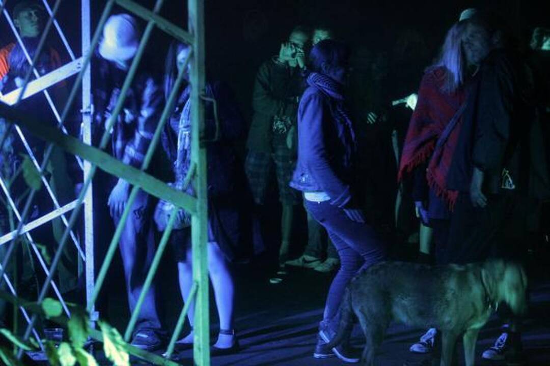 Sereikiškių parke liejosi salsos ir regetono temperamentas 