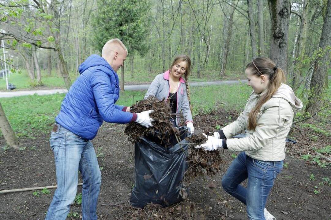 Klaipėdiečiai ėmėsi tvarkyti Jūros parką
