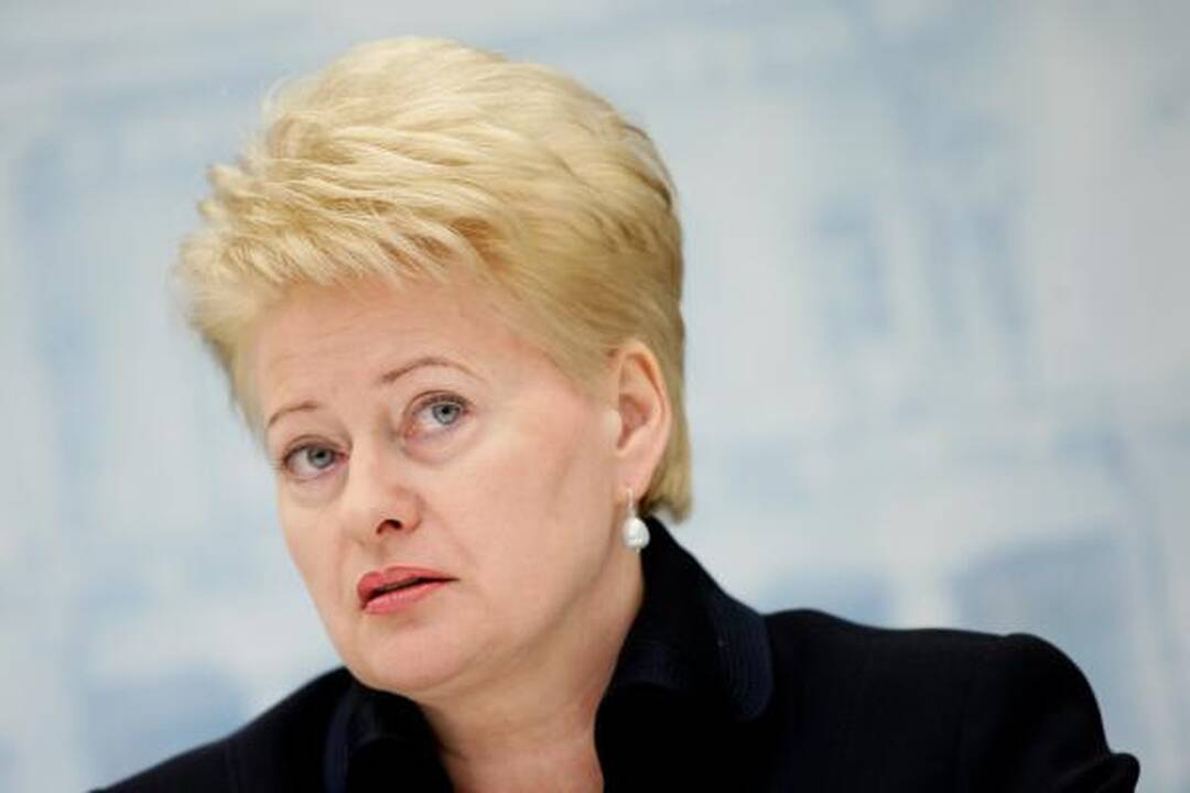D.Grybauskaitė: visų politinių jėgų susitelkimas lems šalies ūkio atsigavimą
