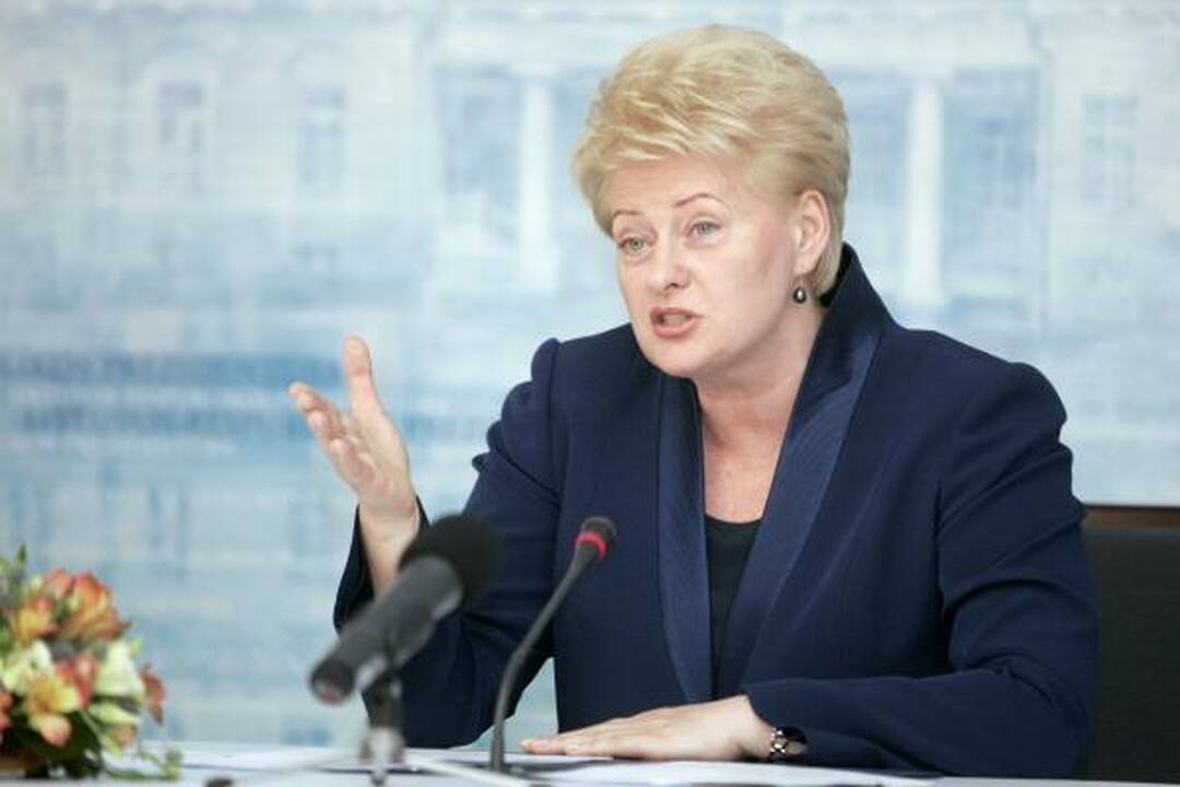 Prezidentė: su kuo statyti suskystintų dujų terminalą - ateities klausimas