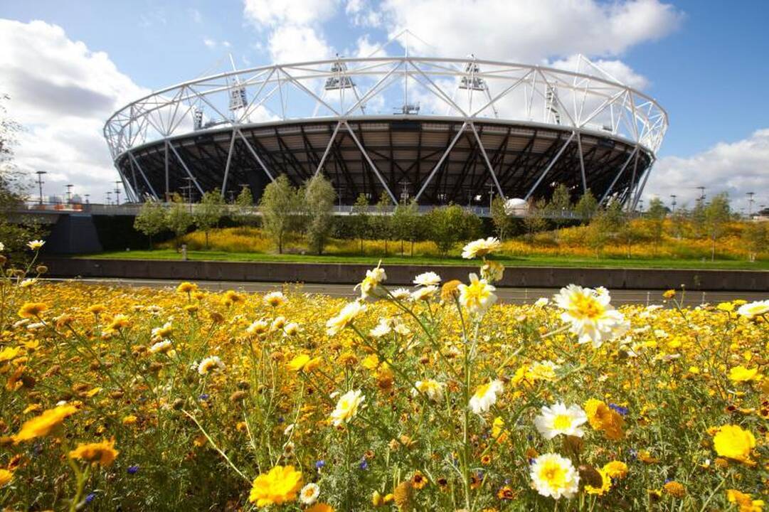 Londonas: saugumą Olimpiados metu užtikrins raketos?