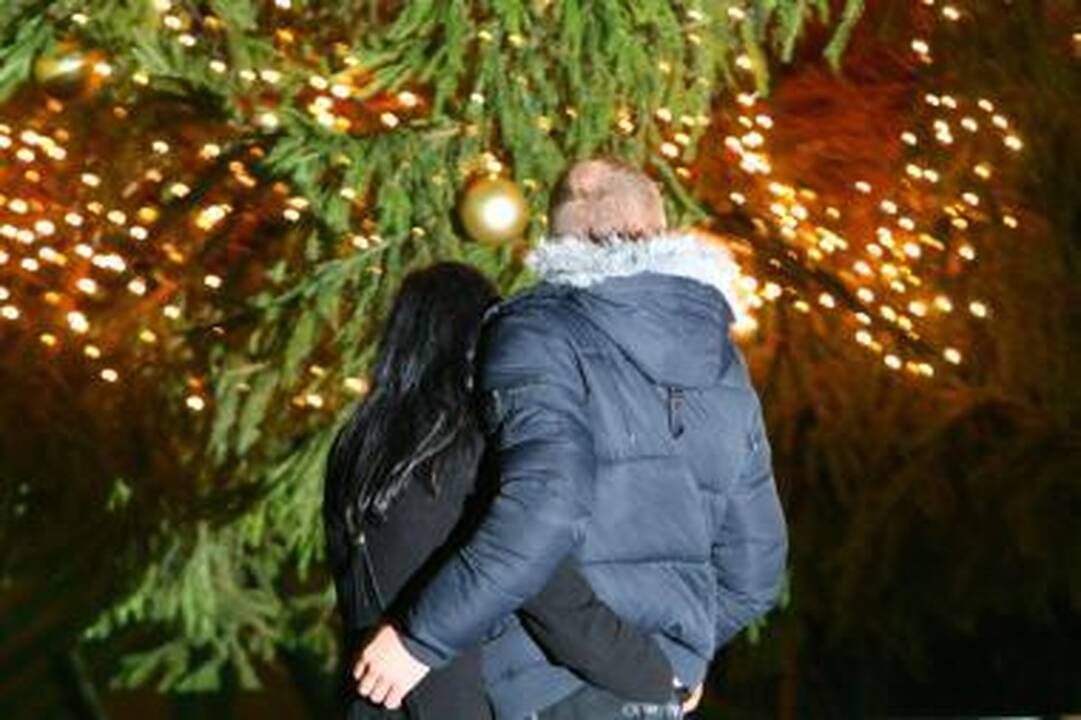 Šilainiuose bus įžiebta eglė