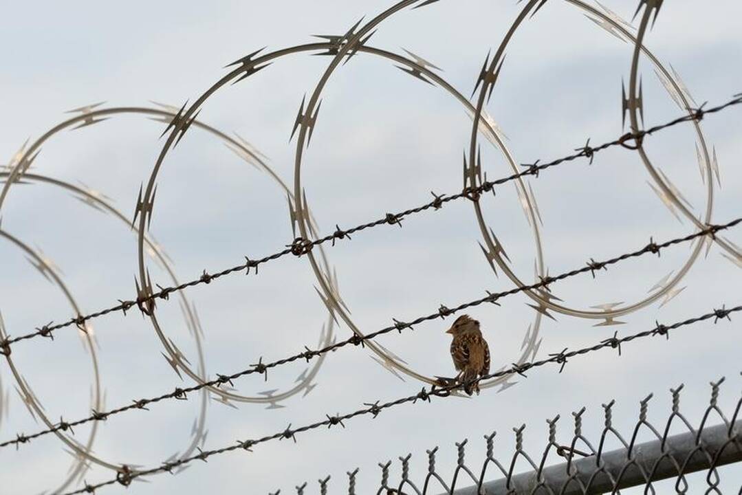 Parama teroristams kaltinamas airis kaitina aistras
