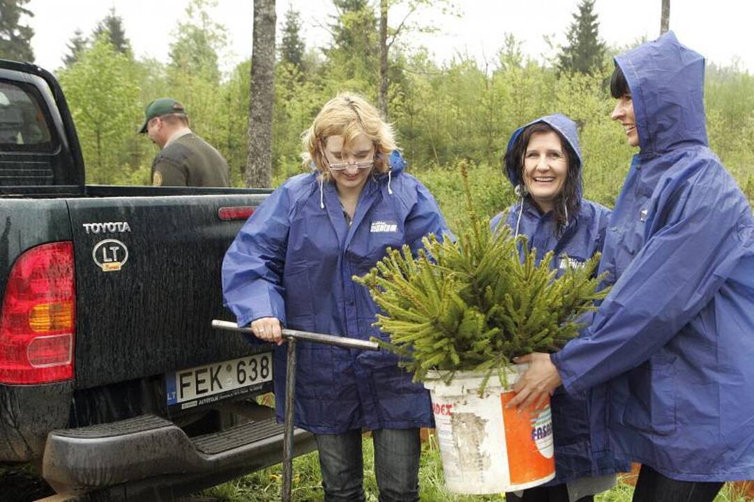 Šalia Kauno sužaliuos „Mikrovisatos“ klientų miškelis
