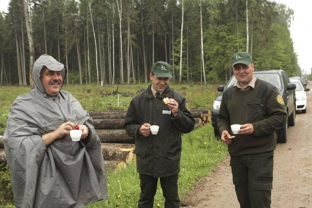 Šalia Kauno sužaliuos „Mikrovisatos“ klientų miškelis