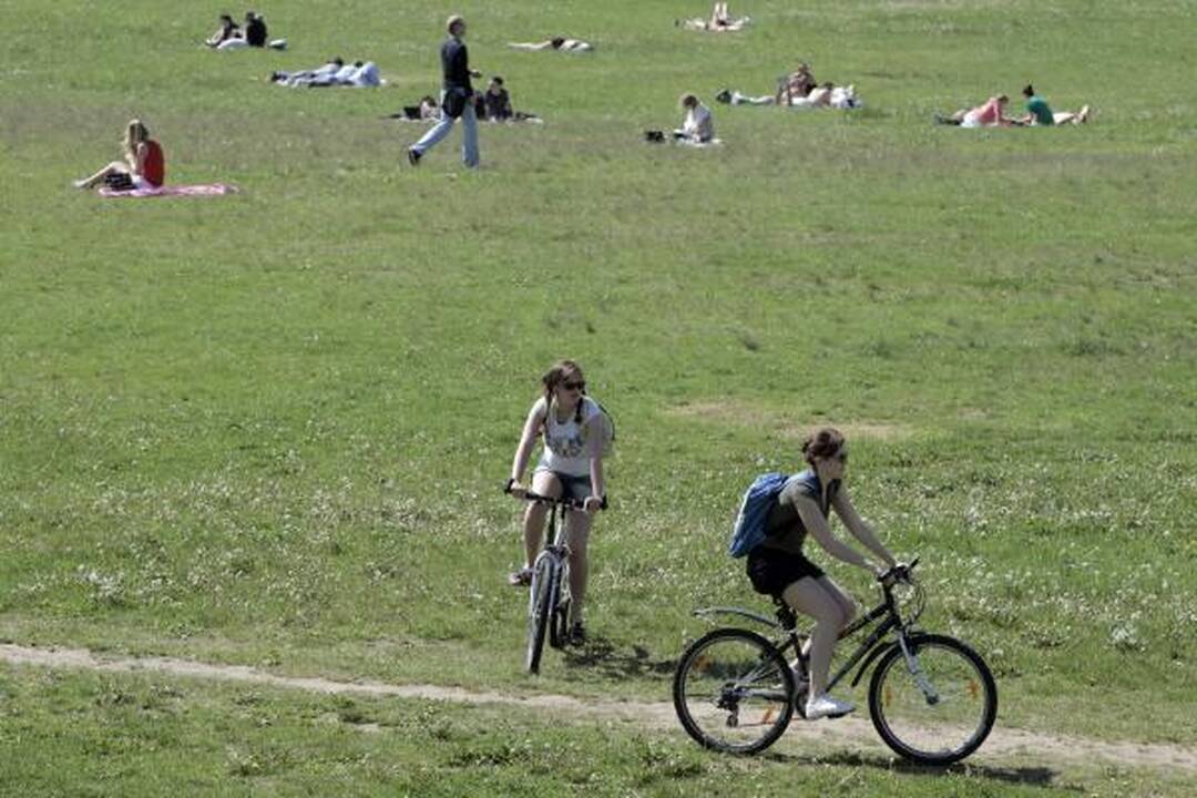 Baltojo tilto trauka