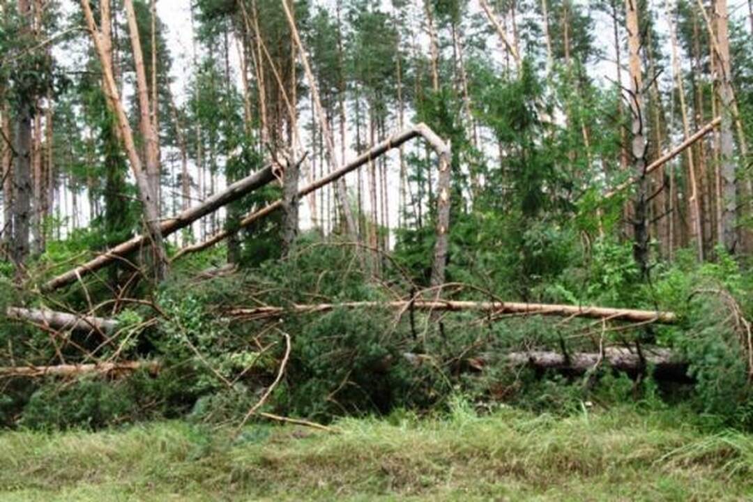 Šiandien elektros tiekimą RST planuoja atnaujinti daugumai vartotojų 