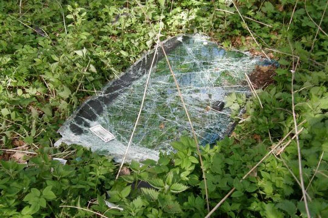Kelyje į Girulius žuvo du žmonės (papildyta 14.43 val.)