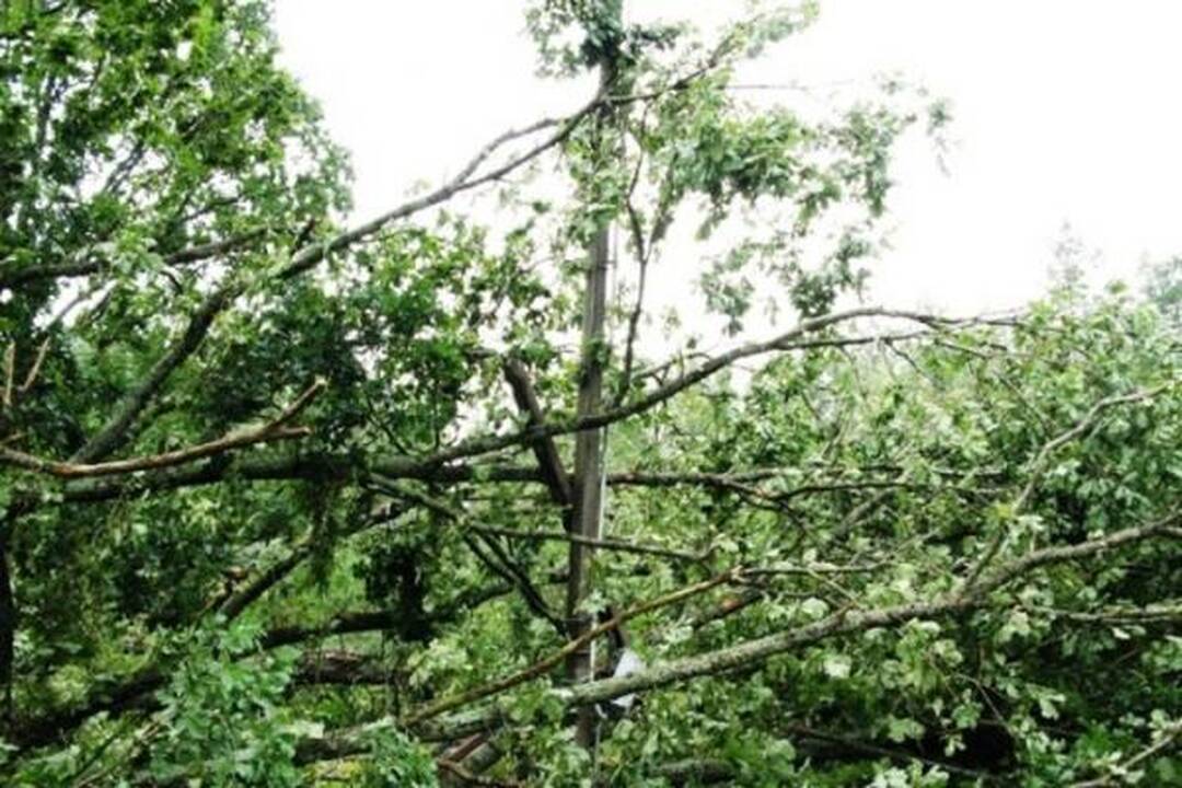 Šiandien elektros tiekimą RST planuoja atnaujinti daugumai vartotojų 