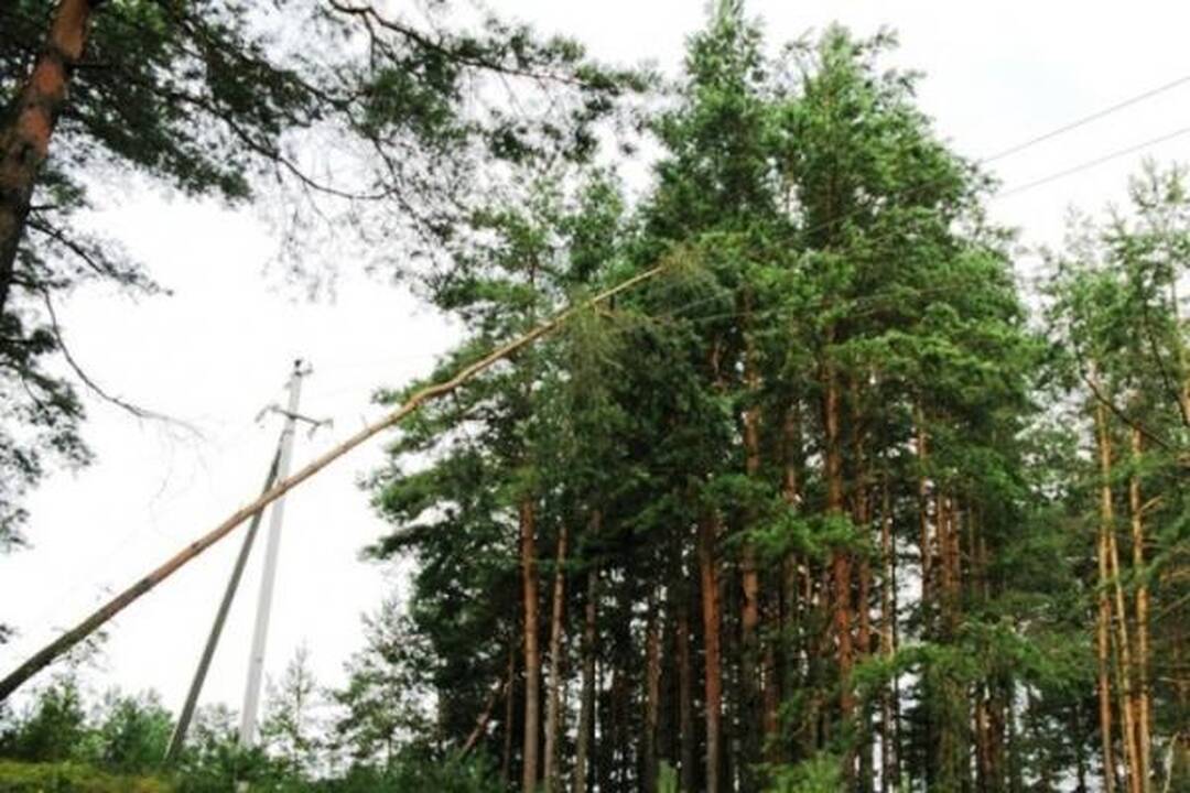 Šiandien elektros tiekimą RST planuoja atnaujinti daugumai vartotojų 