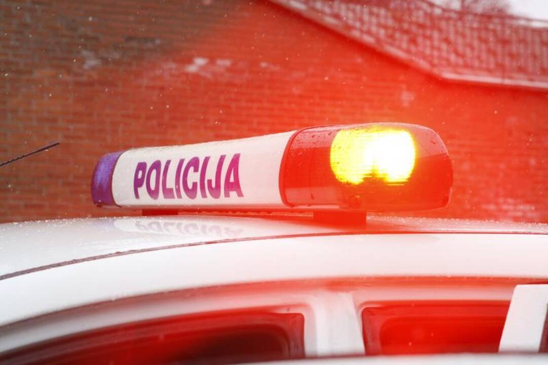 Patrulių pričiupta vilnietė nesuvaldė pykčio