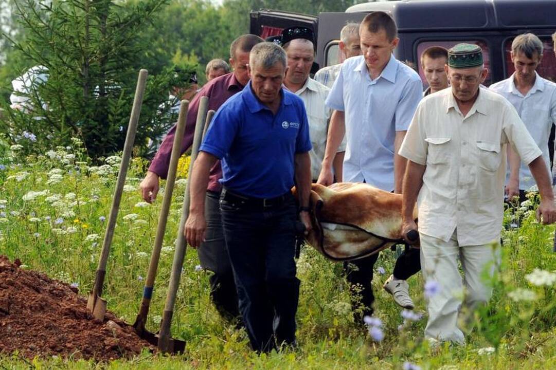 Paviešinti narų filmuoti vaizdai iš nuskendusios „Bulgarijos“