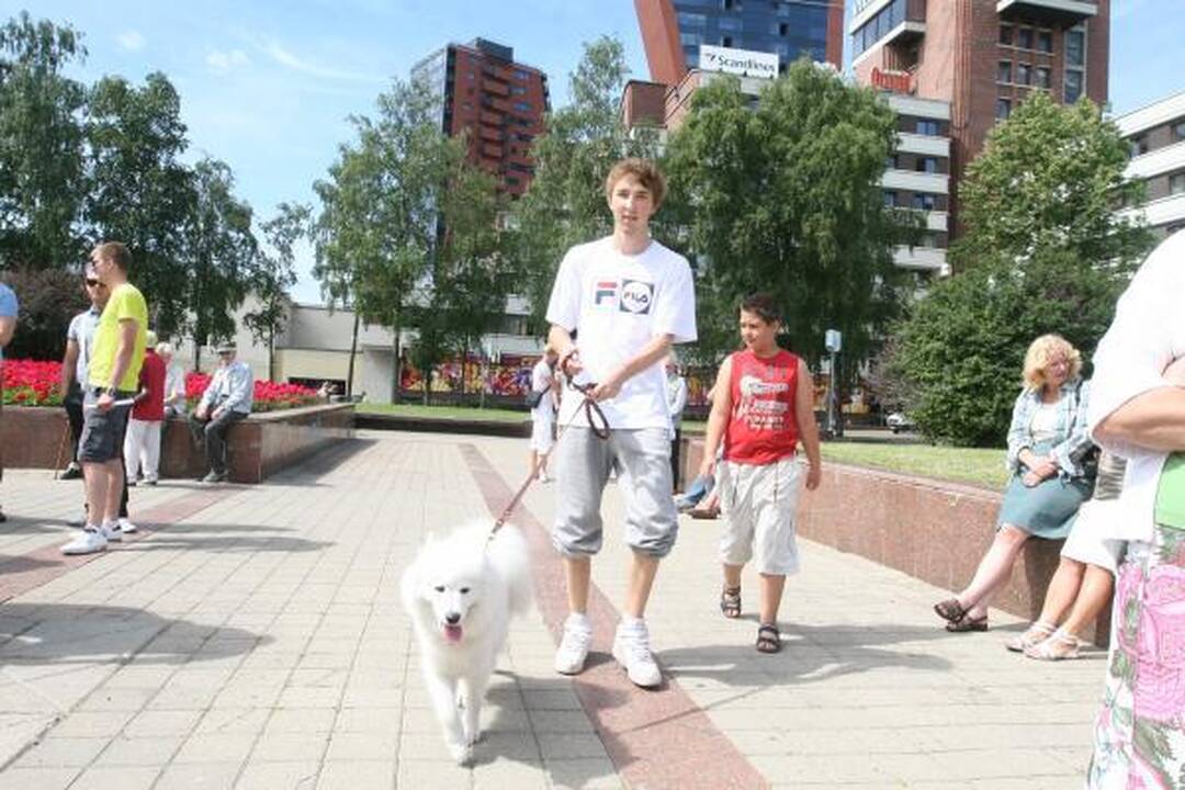 Klaipėdiečiai reikalavo ministrų atsistatydinimo