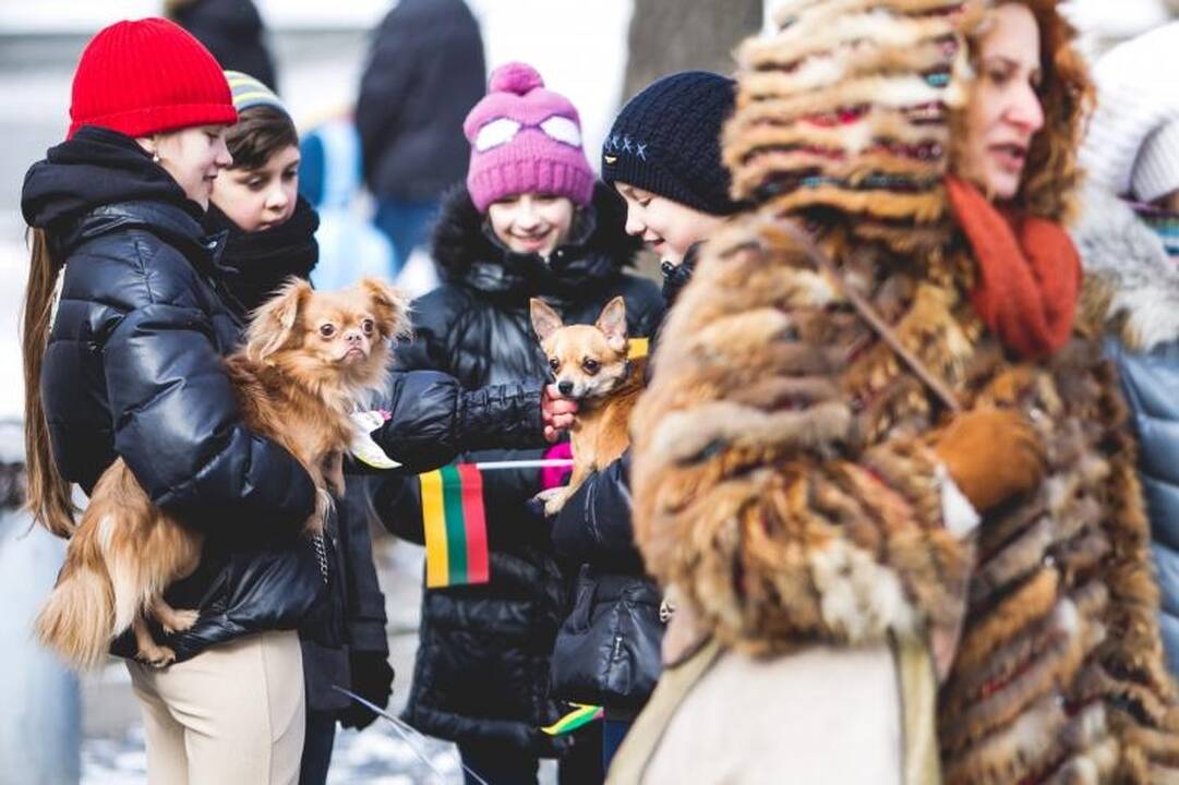 Kovo 11-oji: į Kauną atėjo    23-asis laisvės pavasaris
