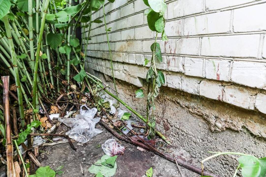 Kaune krūmuose rastas žiauriai nužudytas benamis