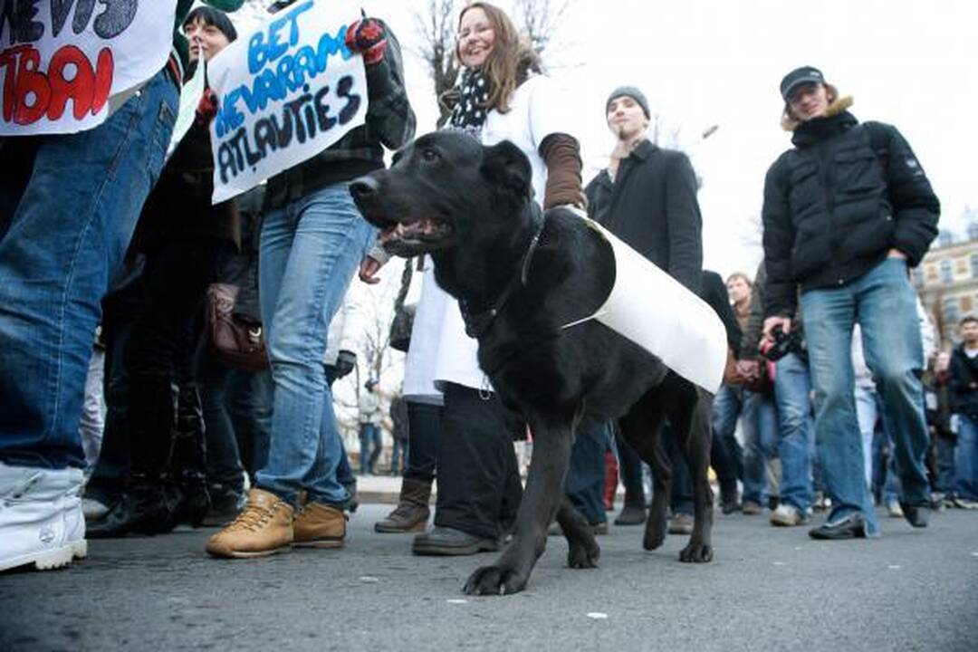 Prie Latvijos Seimo tęsiasi protestai - mitinguoja profesinės sąjungos