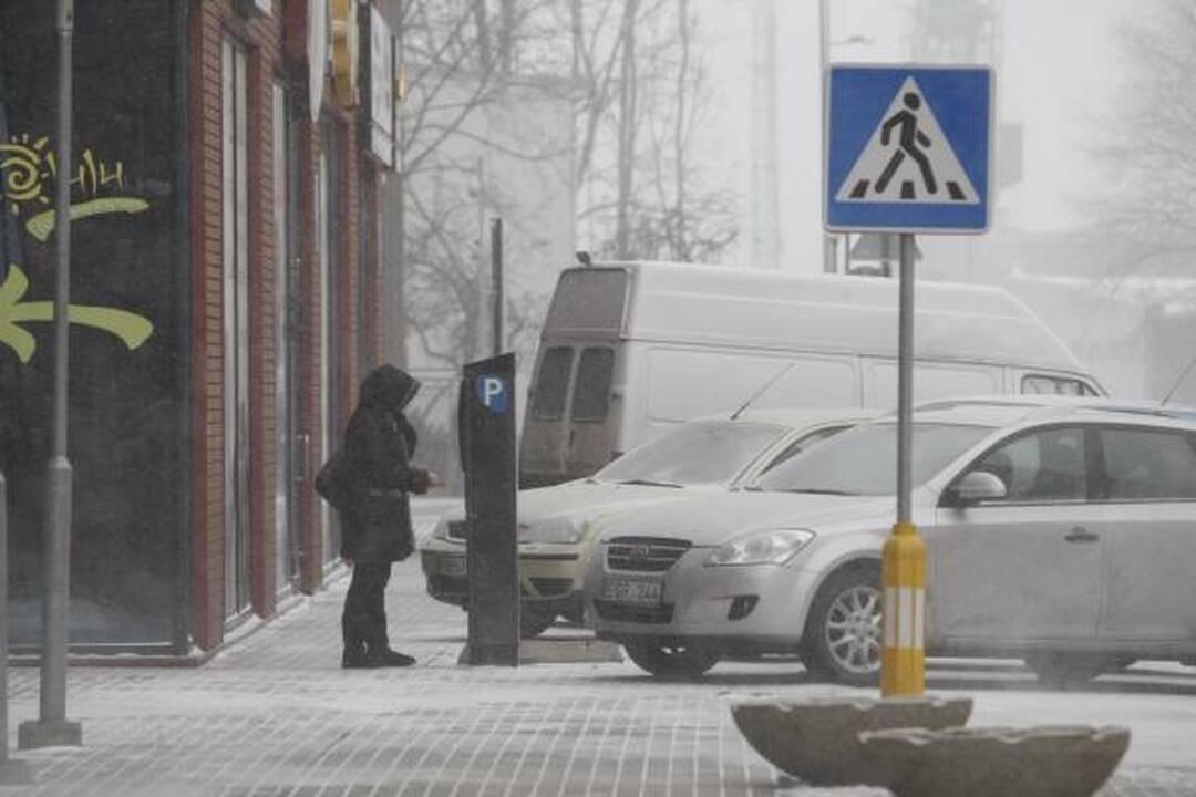 Klaipėdos kelininkams ir vairuotojams pūgos išbandymas
