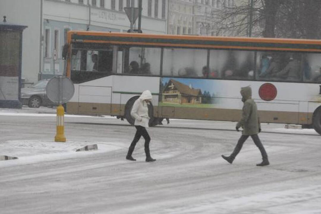 Klaipėdos kelininkams ir vairuotojams pūgos išbandymas