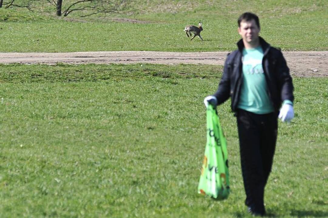 Kaune šiukšlės kuoptos ir iš parkų, ir iš karjero dugno