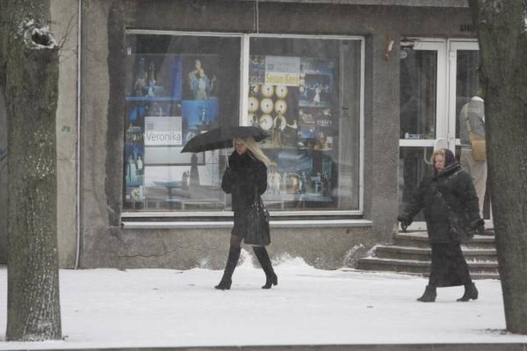 Klaipėdos kelininkams ir vairuotojams pūgos išbandymas