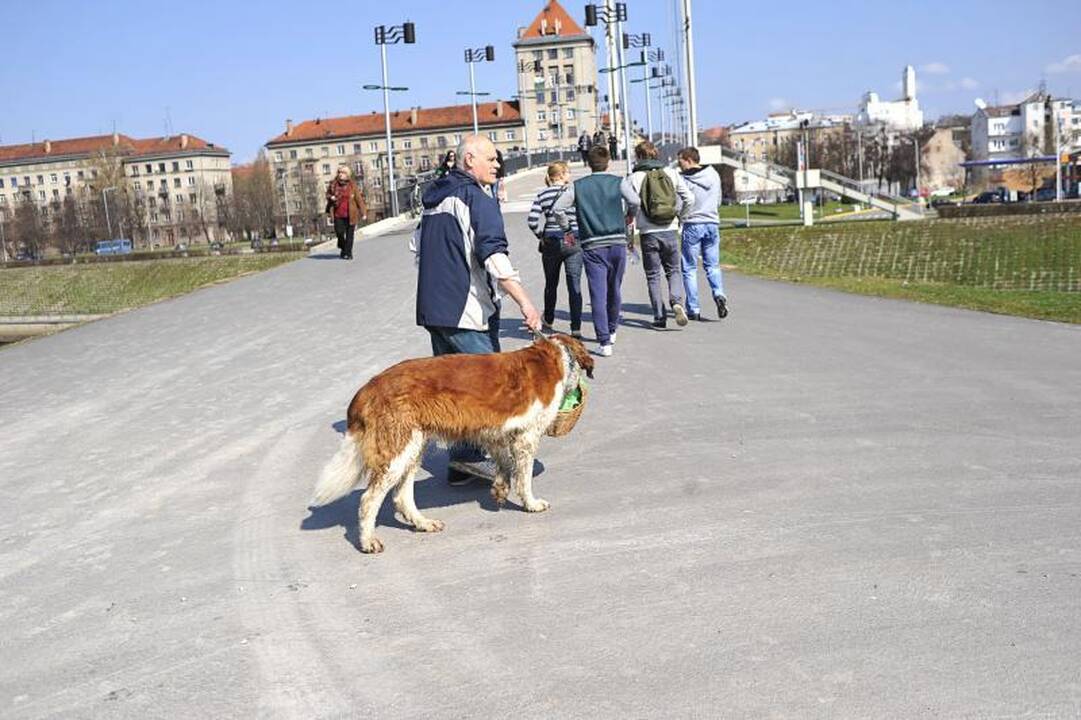 Kaune šiukšlės kuoptos ir iš parkų, ir iš karjero dugno