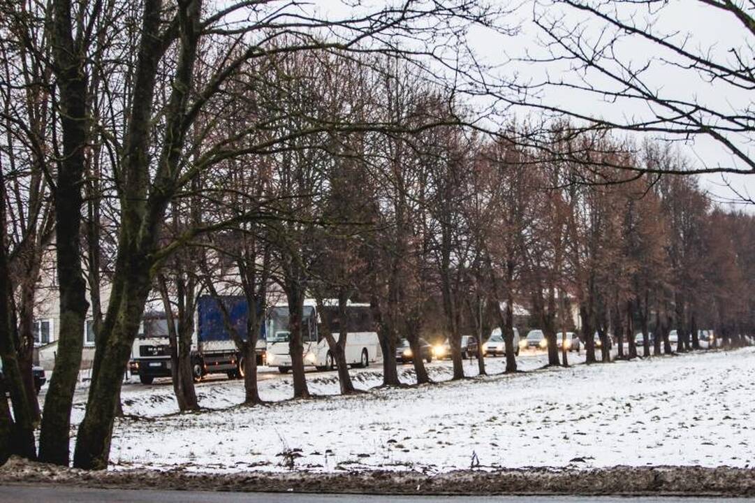 Avarija prie Karmėlavos: vilkikas nuvertė šviesoforą, kilo spūstys