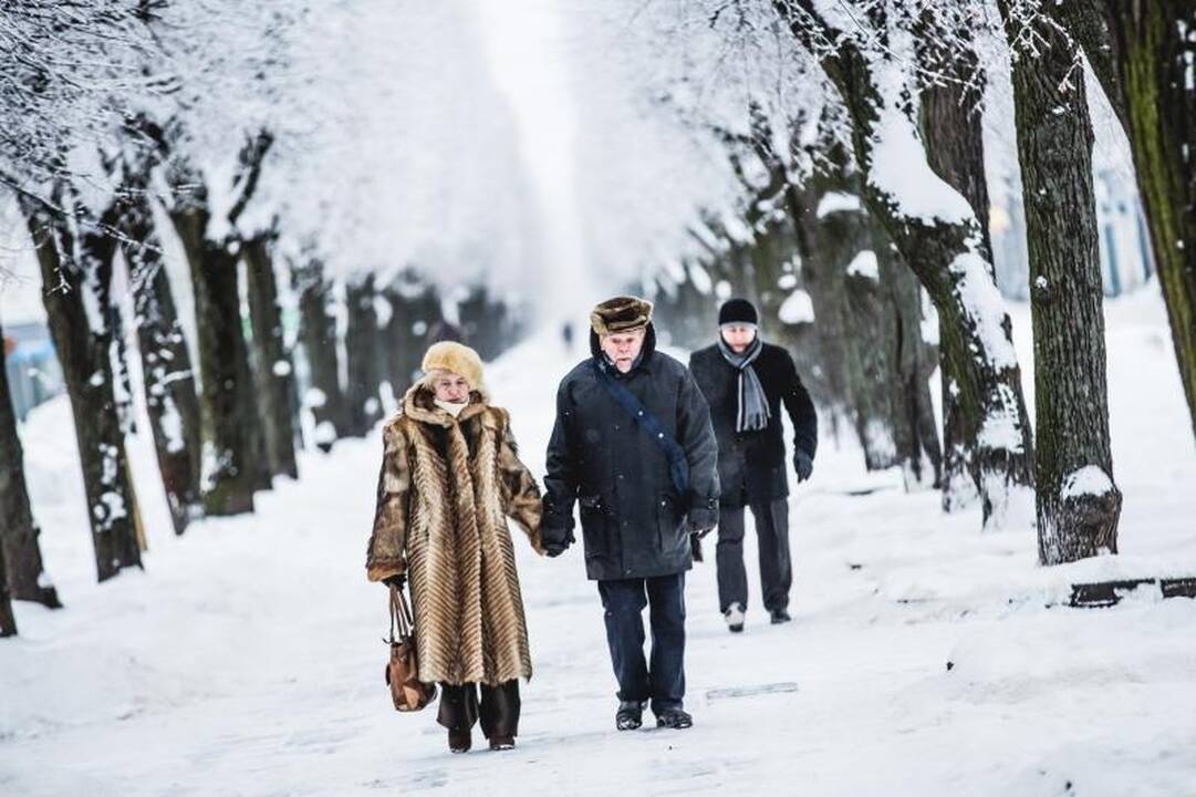 Kelyje į Girulius žuvo du žmonės (papildyta 14.43 val.)