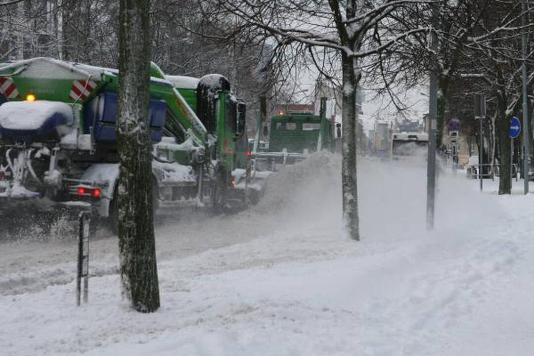 Po pūgos – darbų įkarštis