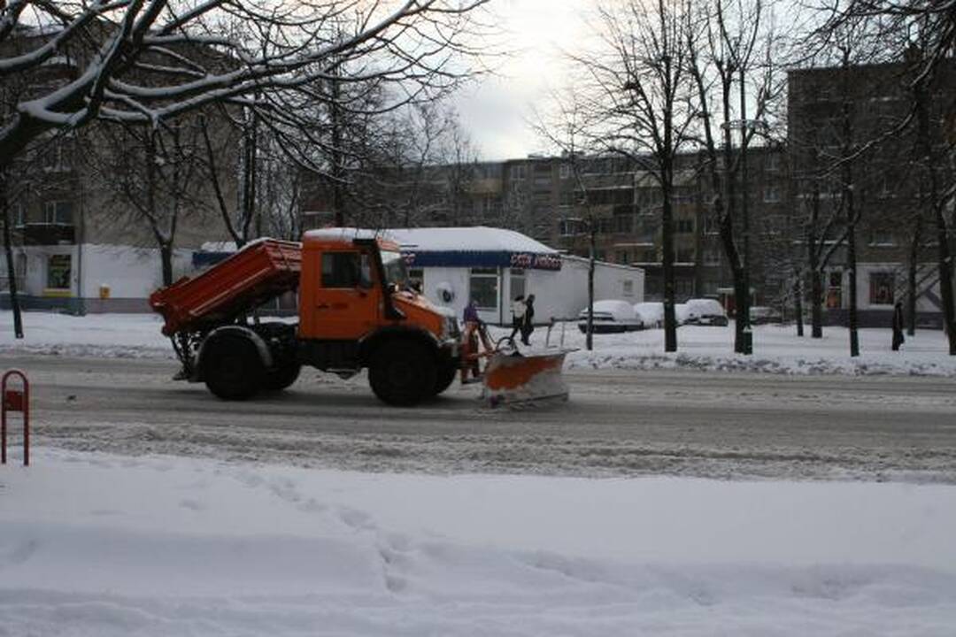 Po pūgos – darbų įkarštis