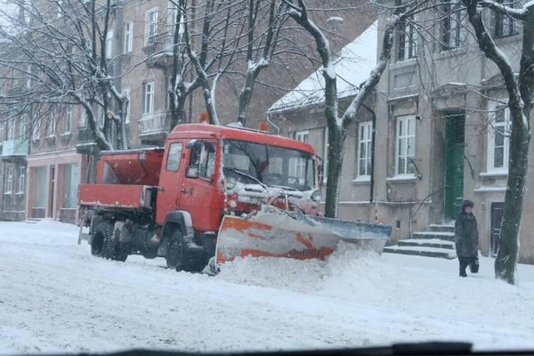 Po pūgos – darbų įkarštis
