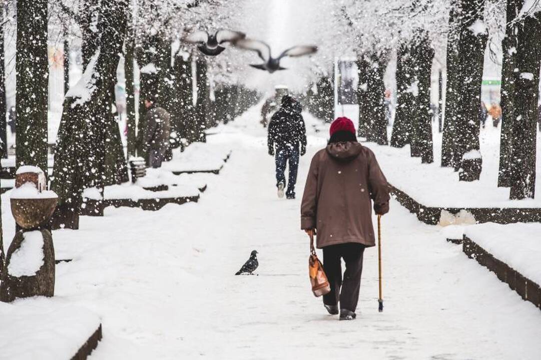 Šaltis šienauja pirštus: Kaune nušalo keturi žmonės