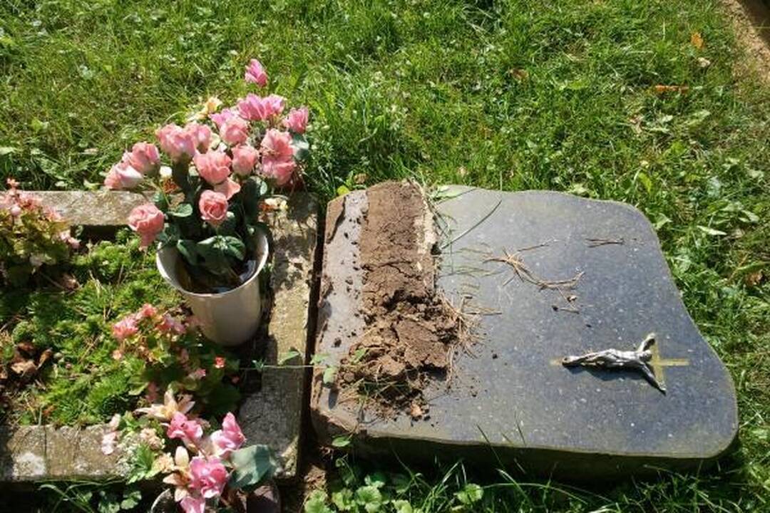Lazdijų rajono kapinėse išvartyta apie 200 paminklų 
