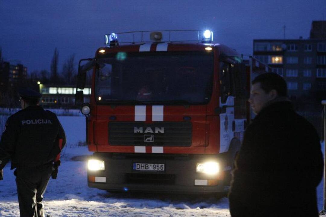 Japonijos AE per sprogimą reaktorius liko nepažeistas, dalijamas jodas 