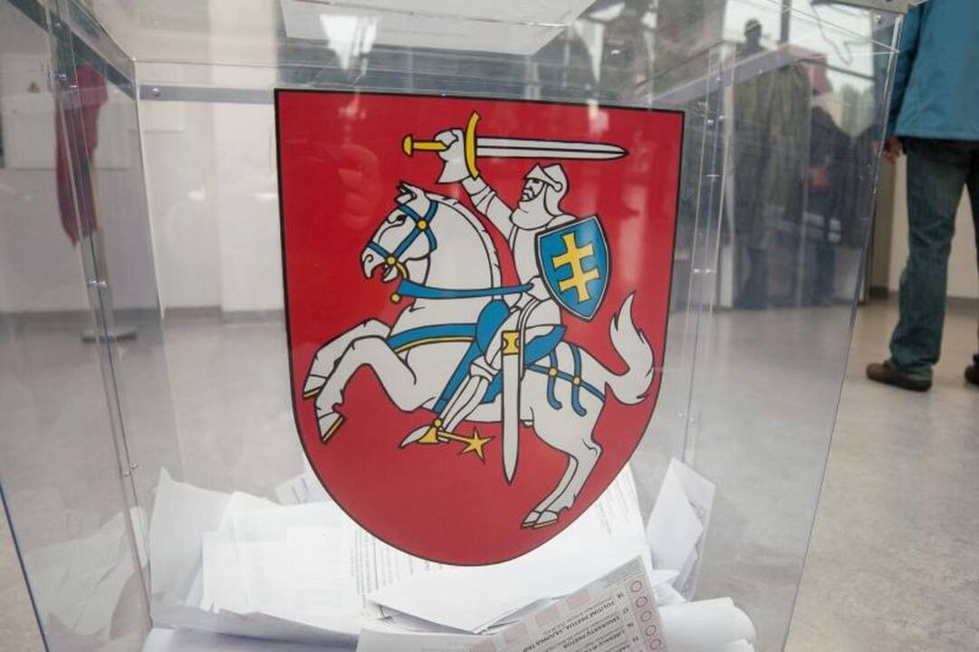Kaune balsavęs V.Romanovas pastebėjo pažeidimą